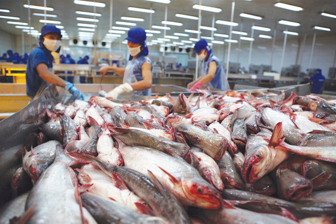 Vi sao doanh nghiep Viet