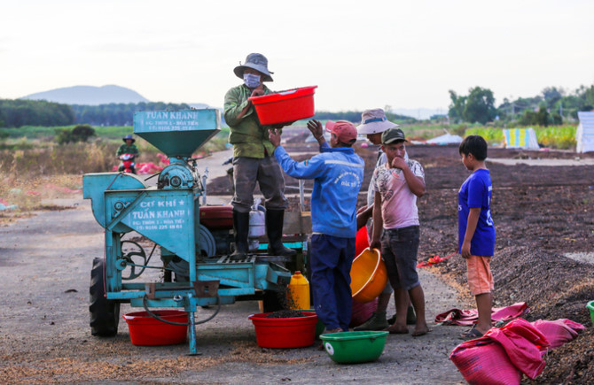 Dựng ch&ograve;i phơi c&agrave; ph&ecirc; tr&ecirc;n s&acirc;n bay bỏ hoang ở Kon Tum