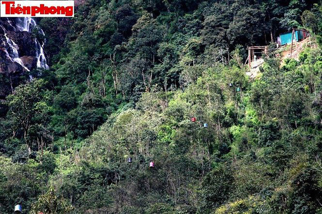 Xẻ thịt đất rừng ph&ograve;ng hộ Ho&agrave;ng Li&ecirc;n Sơn x&acirc;y 50 biệt thự khủng? - Ảnh 2.