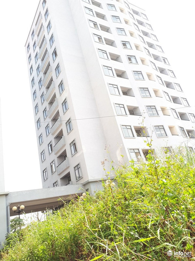 Trăm căn hộ tái định cư mới tinh biến thành nhà ma hoang phế giữa Hà Nội - Ảnh 2. Trăm căn hộ tái định cư mới tinh biến thành nhà ma hoang phế giữa Hà Nội - Ảnh 2.
