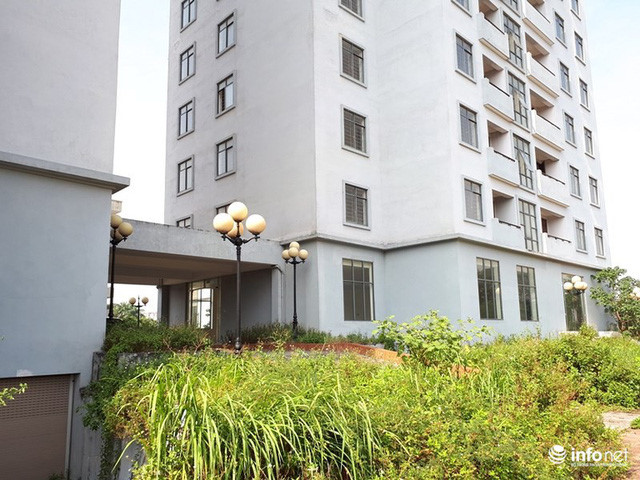Trăm căn hộ tái định cư mới tinh biến thành nhà ma hoang phế giữa Hà Nội - Ảnh 4. Trăm căn hộ tái định cư mới tinh biến thành nhà ma hoang phế giữa Hà Nội - Ảnh 4.