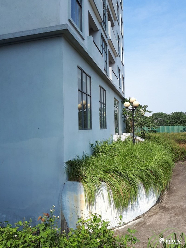 Trăm căn hộ tái định cư mới tinh biến thành nhà ma hoang phế giữa Hà Nội - Ảnh 7. Trăm căn hộ tái định cư mới tinh biến thành nhà ma hoang phế giữa Hà Nội - Ảnh 7.