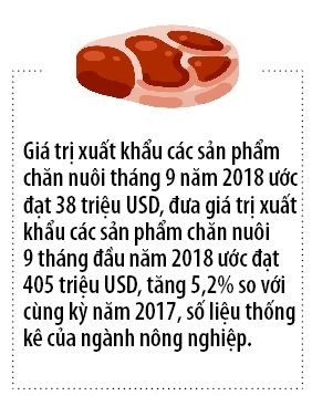 Thit ngoai tim duong do bo vao thi truong Viet Nam