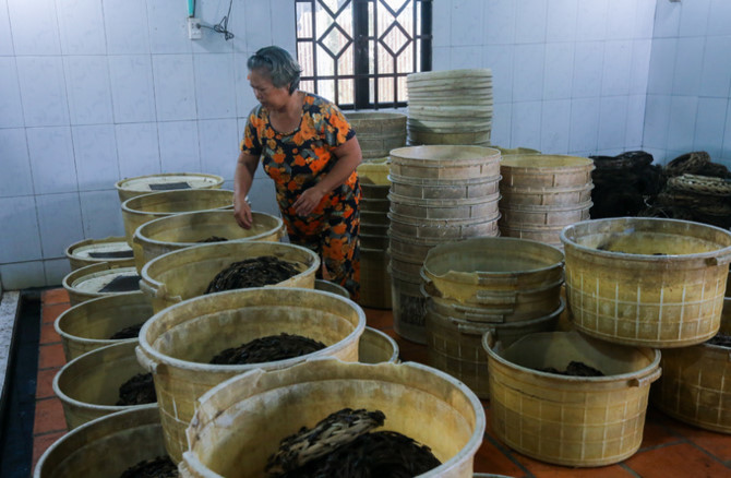 Nuôi dế chọi thu hàng chục triệu đồng mỗi tháng ở Sài Gòn