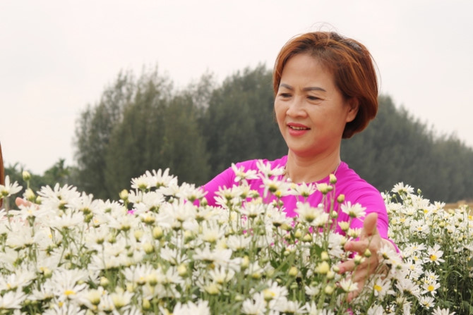 Hộ d&acirc;n ở Hải Dương kiếm tiền triệu mỗi ng&agrave;y nhờ vườn c&uacute;c hoạ mi