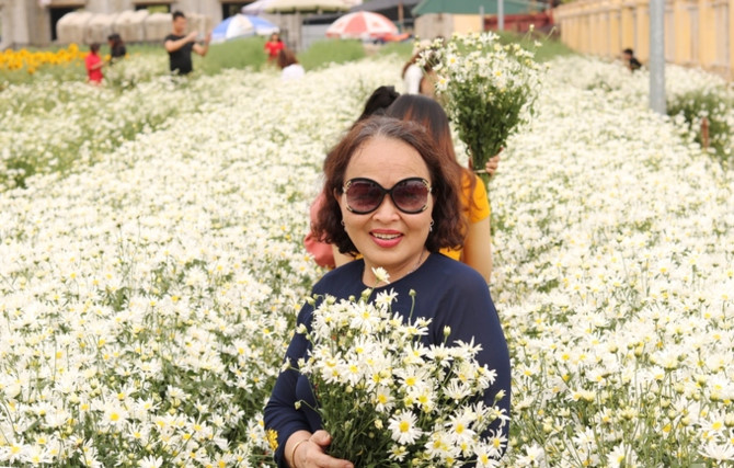 Hộ d&acirc;n ở Hải Dương kiếm tiền triệu mỗi ng&agrave;y nhờ vườn c&uacute;c hoạ mi