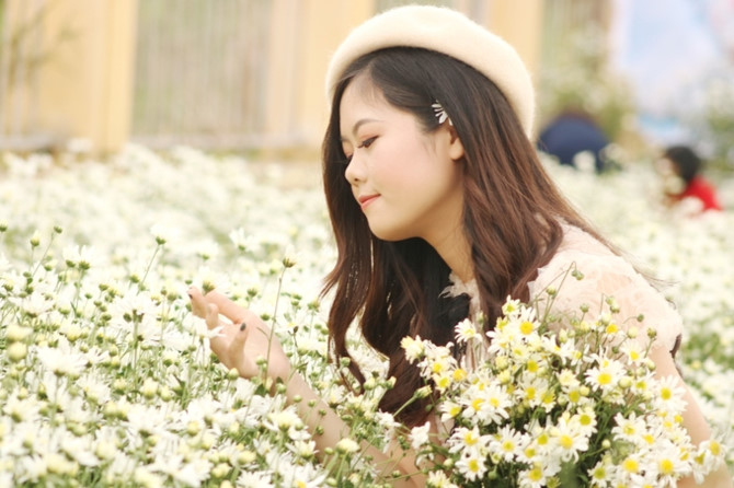 Hộ d&acirc;n ở Hải Dương kiếm tiền triệu mỗi ng&agrave;y nhờ vườn c&uacute;c hoạ mi