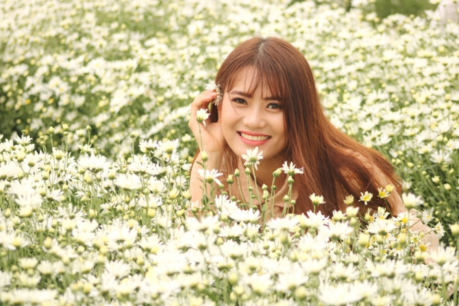 Hộ d&acirc;n ở Hải Dương kiếm tiền triệu mỗi ng&agrave;y nhờ vườn c&uacute;c hoạ mi