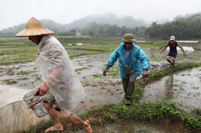 Nông dân lội bùn bắt lươn trong giá lạnh