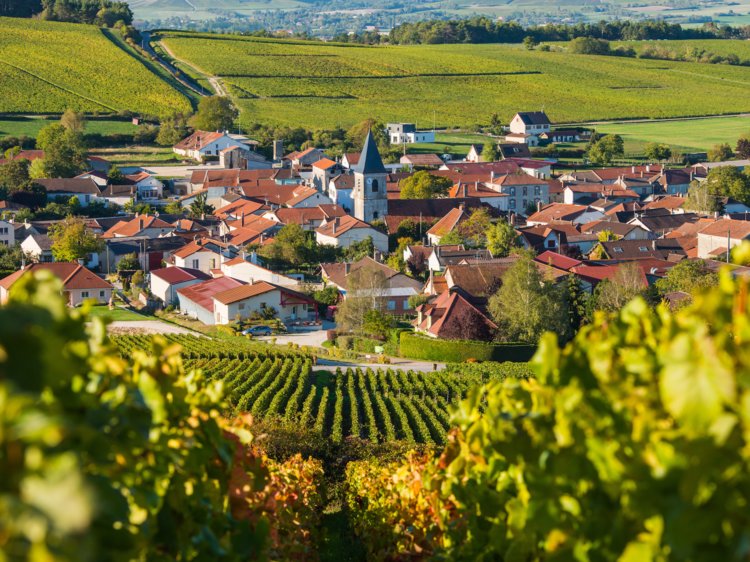 13. Ph&aacute;p
