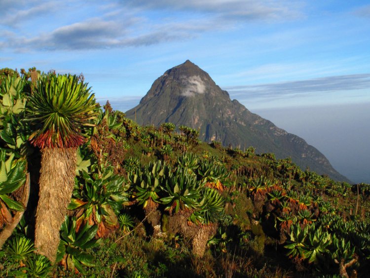 6. Rwanda