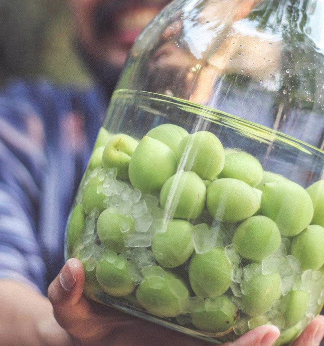 Gần 100.000/kg mơ xanh đầu m&ugrave;a