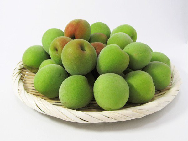 Gần 100.000/kg mơ xanh đầu m&ugrave;a
