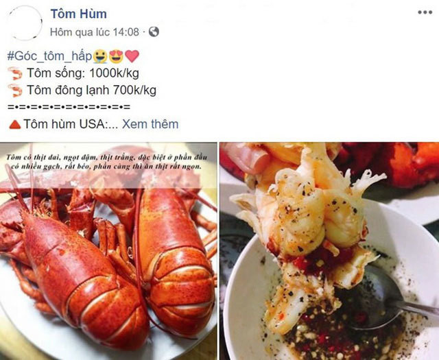 Tôm hùm Mỹ bay ná»a vòng trái đất vá» Việt Nam được bán rẻ như gà , vịt