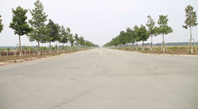 ảnh 2