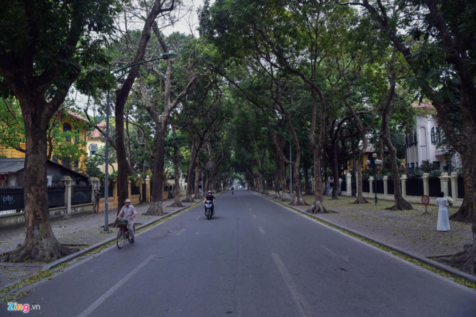 Ha Noi vang hoe ngay gio to Hung Vuong hinh anh 9