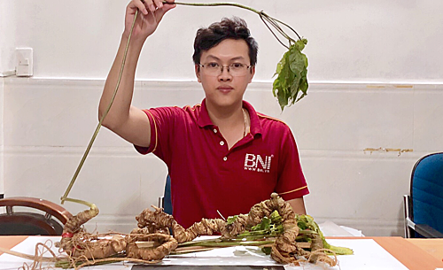Củ sâm có tuổi đời 100 năm.