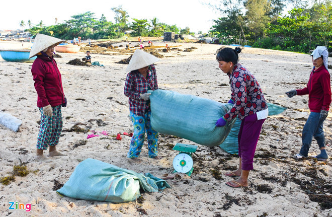 Dan Quang Ngai do xo khai thac rong mo ban sang Trung Quoc hinh anh 3 