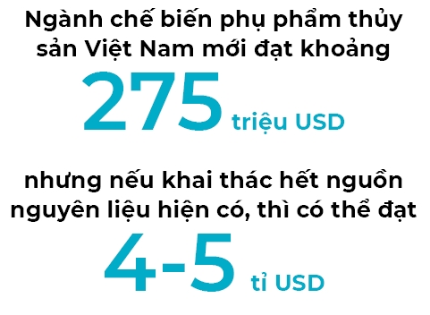 Chế biến phụ phẩm thủy sản: Khoảng trống tỷ đô Che bien phu pham thuy san: Khoang trong ty do