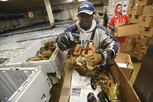 C&Atilde;&iexcl;c nh&Atilde;&cent;n vi&Atilde;&ordf;n &Auml;‘&Atilde;&sup3;ng th&Atilde;&sup1;ng&Acirc;&nbsp;t&Atilde;&acute;m h&Atilde;&sup1;m t&aacute;&ordm;&iexcl;i doanh nghi&aacute;&raquo;‡p xu&aacute;&ordm;&yen;t kh&aacute;&ordm;&copy;u&Acirc;&nbsp;Mortillaro Lobster &aacute;&raquo;Ÿ th&Atilde;&nbsp;nh ph&aacute;&raquo;‘ Gloucester, bang Massachusetts, M&aacute;&raquo;&sup1;. &aacute;&ordm;&cent;nh: Gloucester Times