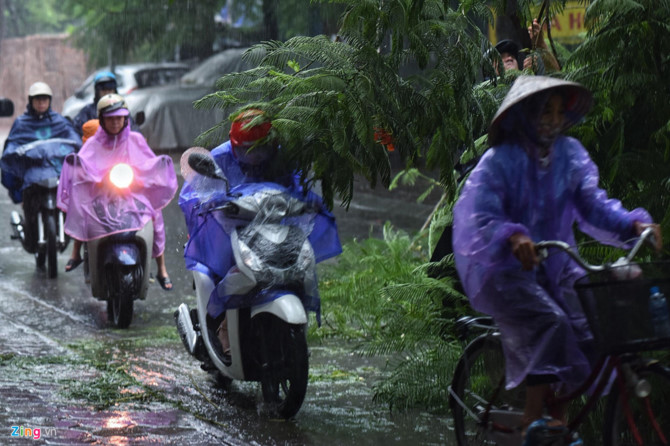 Cay do hang loat o Ha Noi, Hai Phong sau bao Wipha hinh anh 2