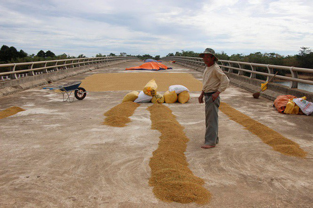 X&acirc;y cầu 160 tỷ để&hellip;. phơi th&oacute;c - Ảnh 4.
