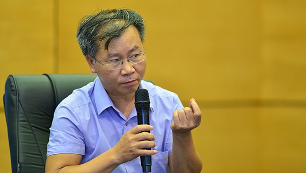 Chuy&ecirc;n gia kinh tế Vũ Đ&igrave;nh &Aacute;nh. Ảnh: VTV