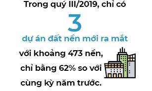 Thị trường đất nền 2019: Giao dịch giảm mạnh sau cơn sốt đất