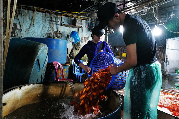 Chợ đầu mối xuy&ecirc;n đ&ecirc;m b&aacute;n c&aacute; ch&eacute;p đỏ
