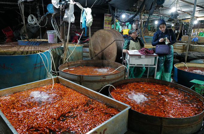 Chợ đầu mối xuy&ecirc;n đ&ecirc;m b&aacute;n c&aacute; ch&eacute;p đỏ