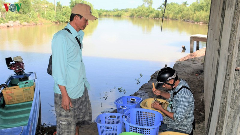 thu phu cua ca mau mong tim thi truong moi trong dich covid-19 hinh 2