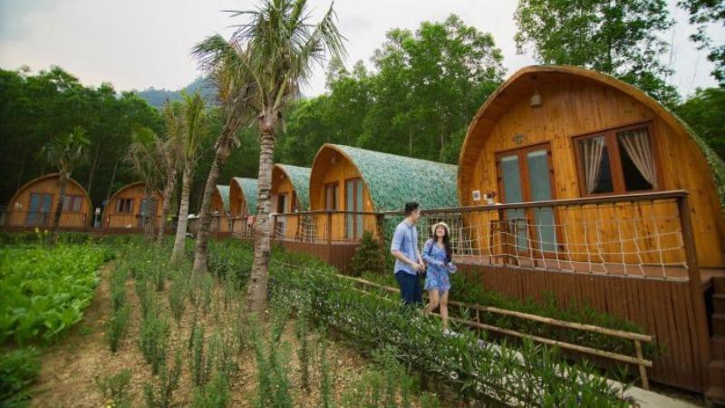 “Nở rộ” mô hình du lịch nghỉ dưỡng Farmstay, Thủ tướng yêu cầu có giải pháp quản lý