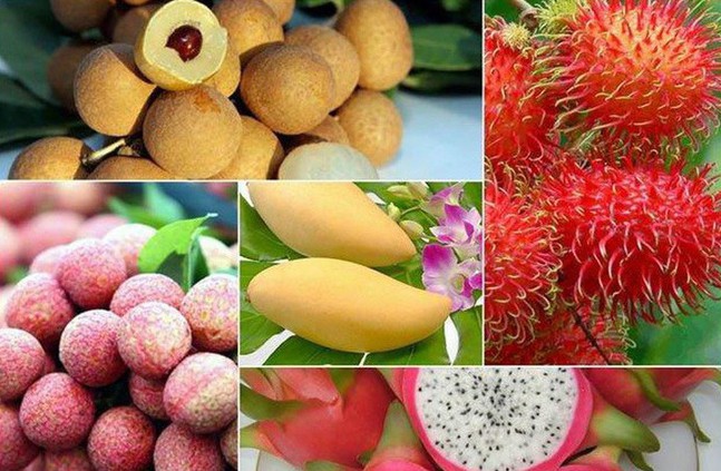 Xuất khẩu rau quả kỳ vọng cơ hội mới