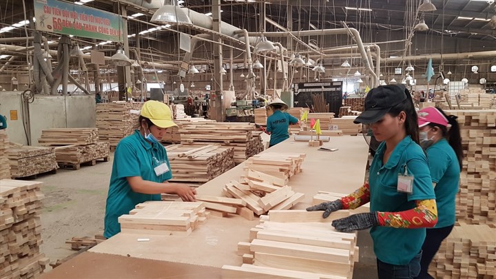 Hơn 13.000 doanh nghiệp thành lập mới trong tháng 7/2020