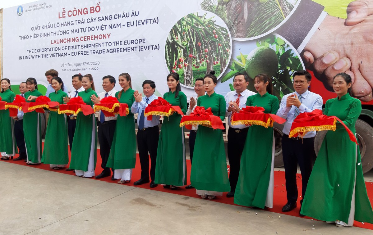 Lô hàng trái cây đầu tiên xuất khẩu sang EU theo EVFTA