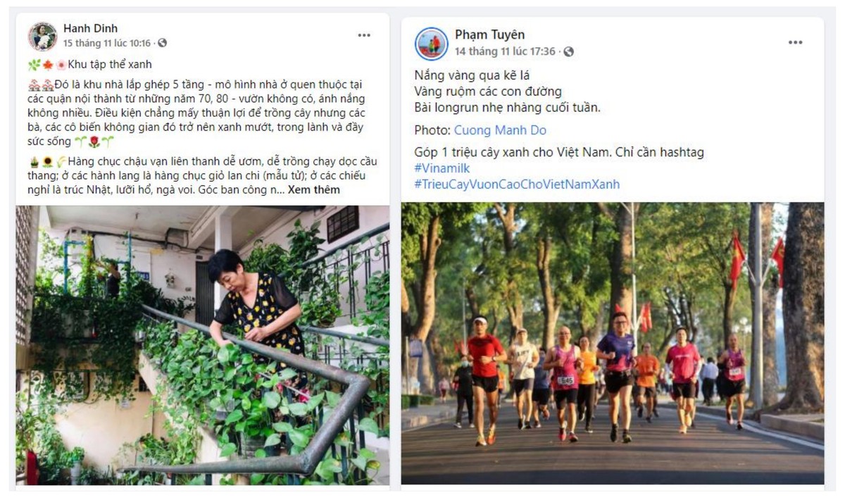 Thêm hàng ngàn cây xanh được trồng qua chiến dịch “Triệu cây vươn cao cho Việt Nam xanh”