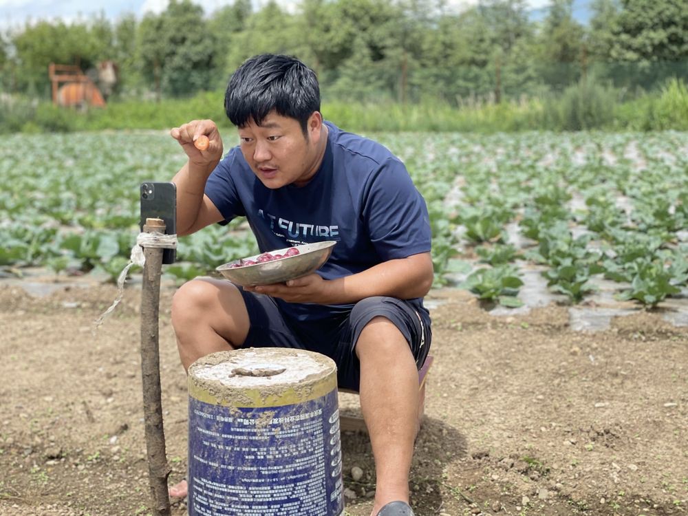 Nông dân Trung Quốc thành triệu phú USD nhờ bán nông sản trực tuyến trên mạng xã hội
