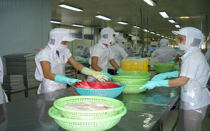 Năm 2021, xuất khẩu cá tra sang thị trường Nga tăng mạnh- Ảnh: Nguyễn Huyền