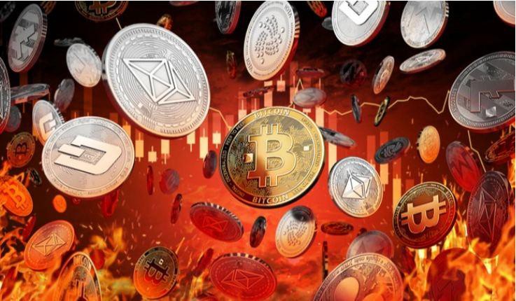 Hai dự án crypto bốc hơi hơn 70% giá trị, nhà đầu tư thiệt hại nặng nề