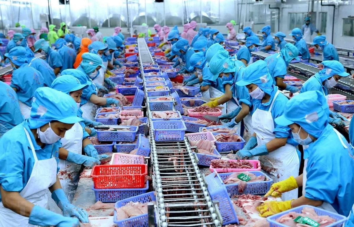 Ảnh minh họa/VietnamPlus