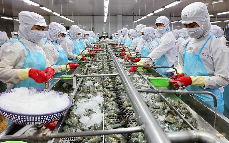 Ước cả năm 2022 xuất khẩu tôm có thể đạt từ 4 – 4,5 tỷ USD