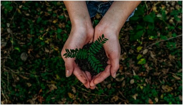 3 ý tưởng CSR hiệu quả cho mọi loại hình doanh nghiệp