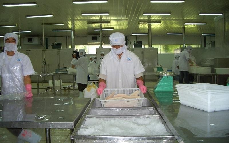 Trong “cơn bão” lạm phát, phi lê cá tra đông lạnh có nhiều lợi thế. Ảnh: Nguyễn Huyền