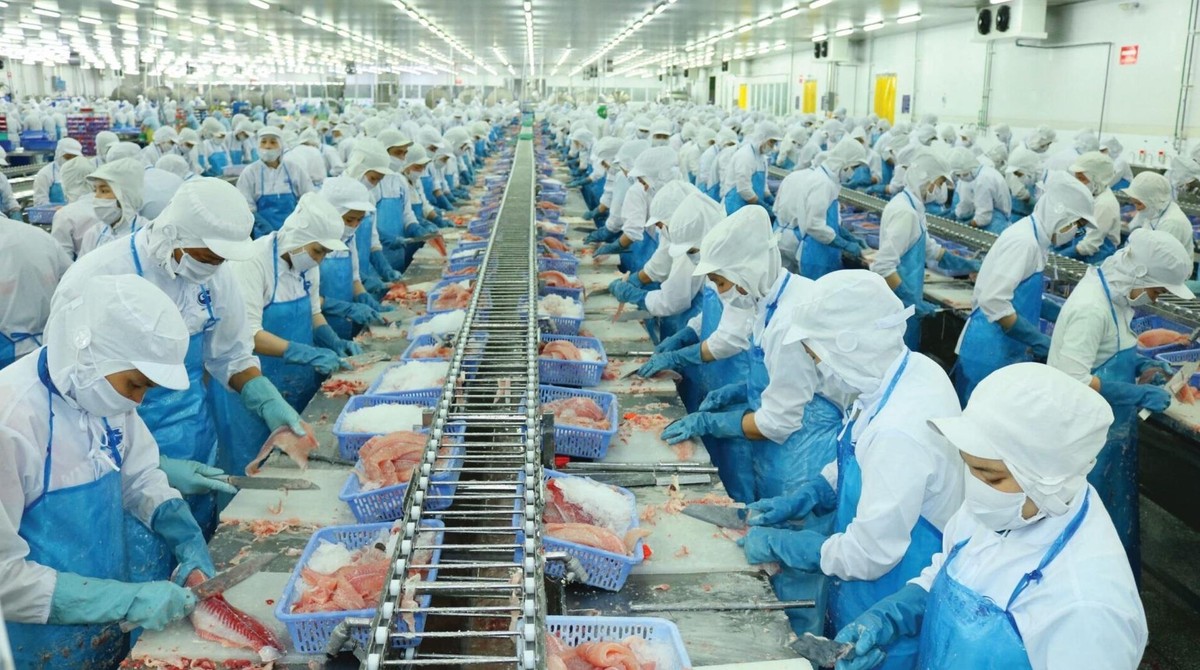 VHC có thể đã hình thành đáy cứng sau 2 lần chạm MA200