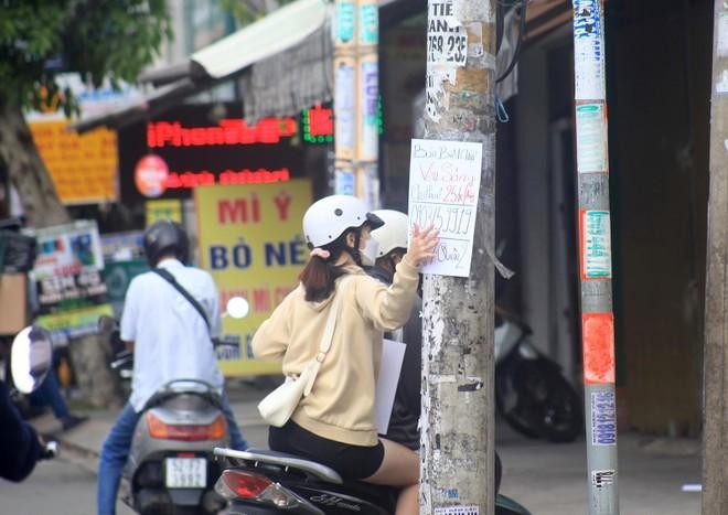 Mọi thông tin về bất động sản liền thổ đều được quan tâm. Ảnh: Lê Toàn