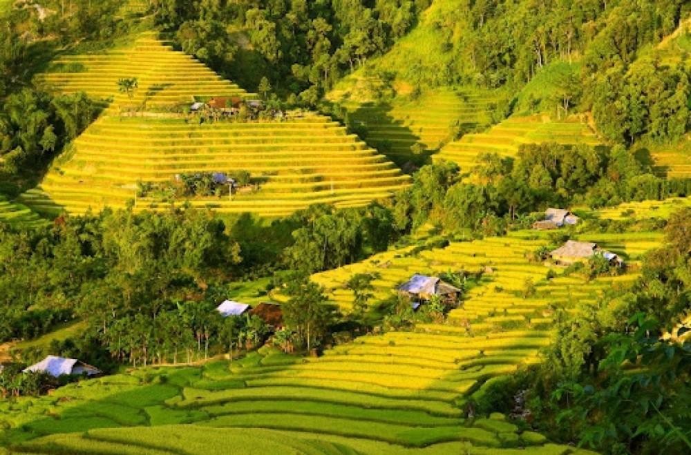 Trung du và miền núi phía Bắc là vùng có nhiều tiềm năng, lợi thế cho phát triển bền vững với nhiều loại tài nguyên, khoáng sản quý, hiếm