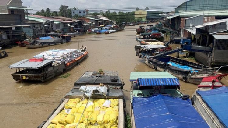 Chợ gạo Bà Đắc lúc hoạt động bình thường. Ảnh minh họa