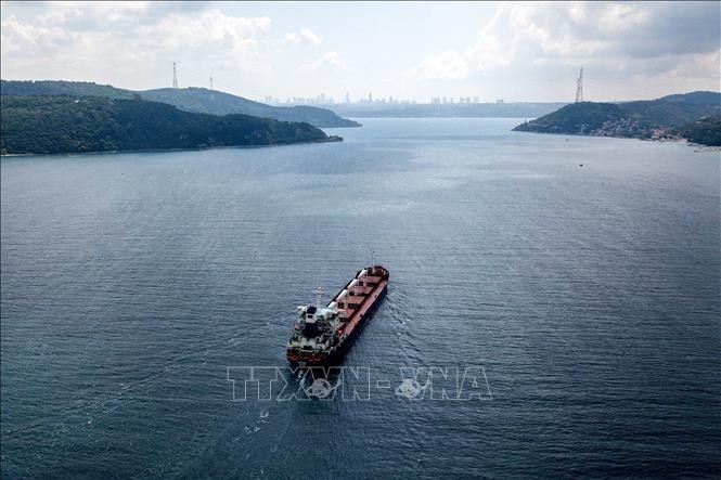 Tàu chở ngũ cốc của Ukraine di chuyển tại Eo biển Bosphorus ở Istanbul, Thổ Nhĩ Kỳ, ngày 7/8/2022. Ảnh: AFP/TTXVN