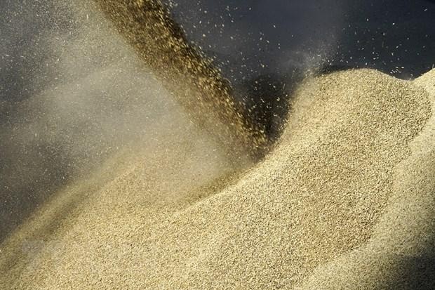 Chất ngũ cốc lên tàu để đưa đi xuất khẩu tại cảng Rostov-on-Don, Nga. (Ảnh: AFP/TTXVN)