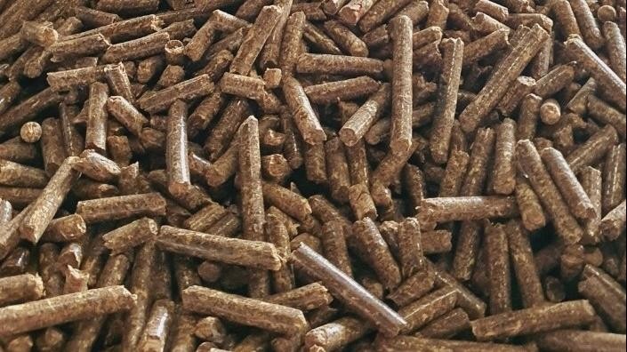 Xuất khẩu gỗ và sản phẩm gỗ thoát tăng trưởng âm nhờ ... viên nén và dăm gỗ